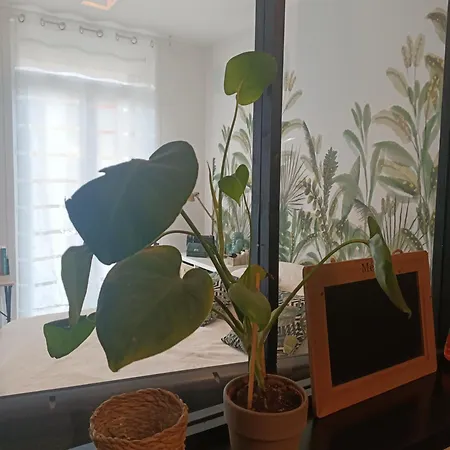Atypique T3 Avec Terrasse 아파트 페르피냥
